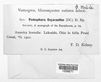 Image Associated With the Occurence